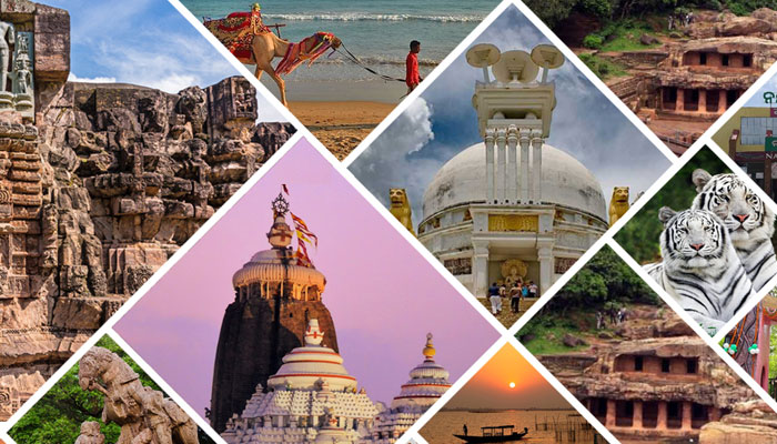 Explore the Enchanting Wonders of Odisha: Your Ultimate Guide with a Top Travel Agent in Odisha