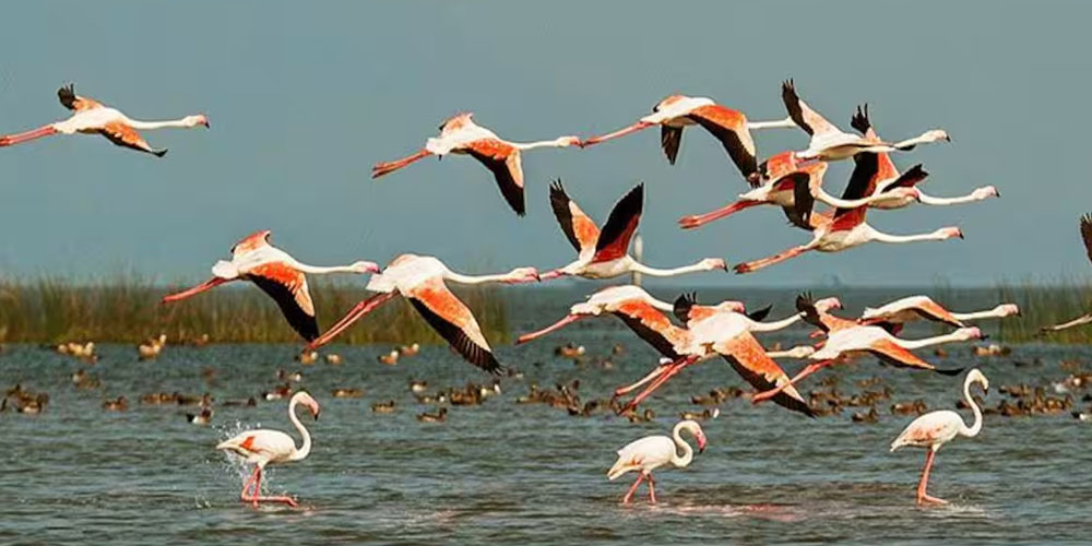 Best Tour Packages in Odisha for a Memorable Cultural and Scenic Vacation