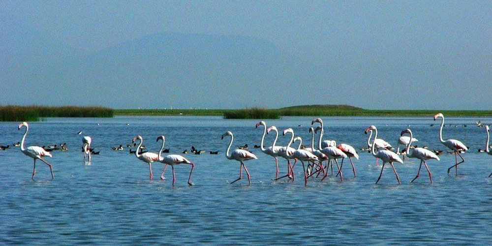 Explore Odisha with the Best Travel Agent in Odisha for a Seamless Experience