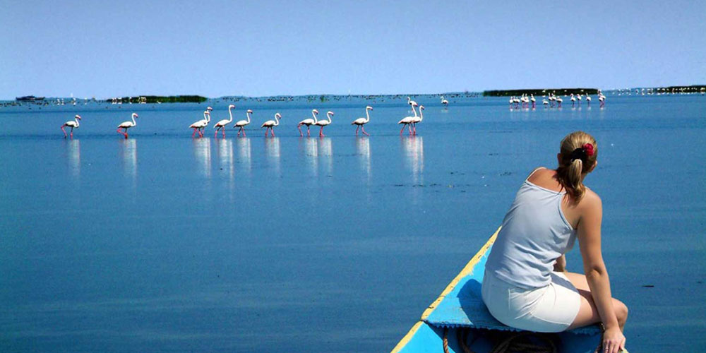 Exploring the Soul of Incredible India: How to Find the Best and Most Trusted Tour Operators in Odisha
