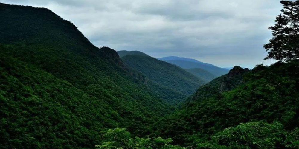 Thrilling Adventure Tour of Odisha for Nature and Culture Lovers