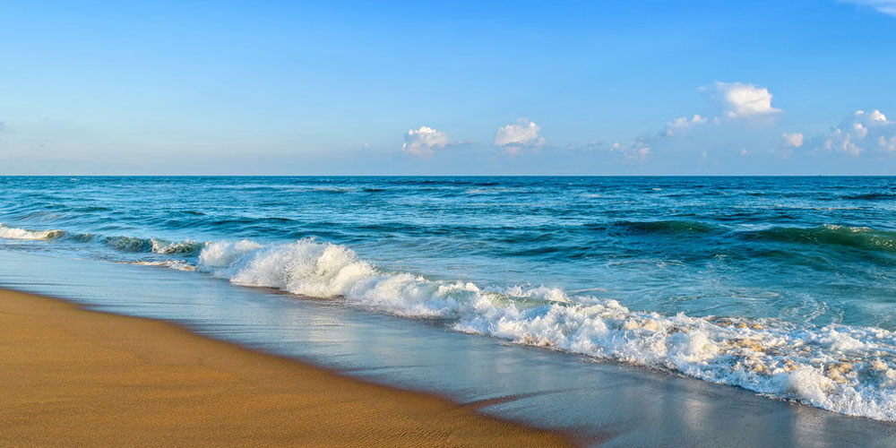 Top-Rated Tour Operators in Odisha for Unforgettable Travel Experiences