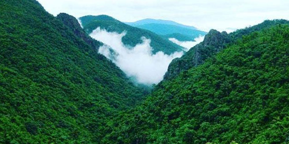 Unveiling the Thrill: A Guide to the Best Adventure Tours in Odisha